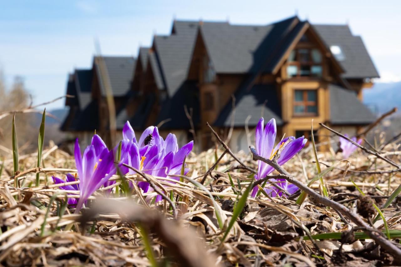 Polana Szymoszkowa Ski Resort - Chamerion Apartments Zakopane Exterior photo